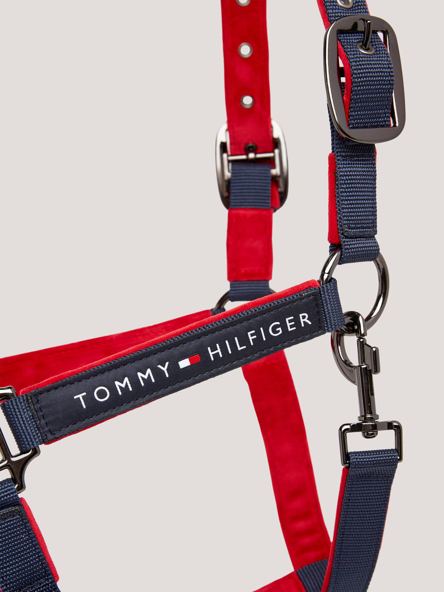 Tommy hilfiger online dog collar