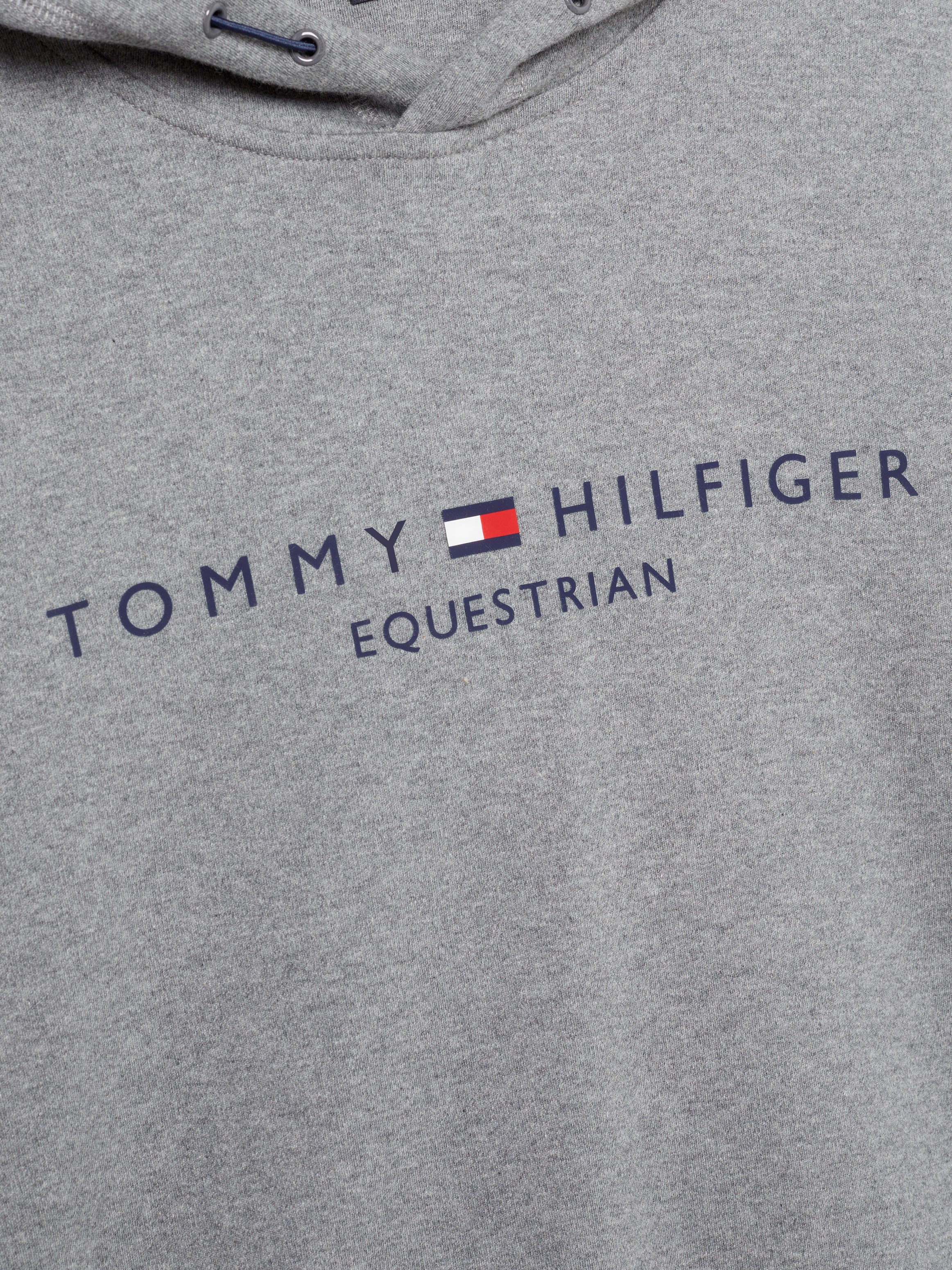 Sweat à Capuche Graphique Williamsburg GREY MÉLANGE
