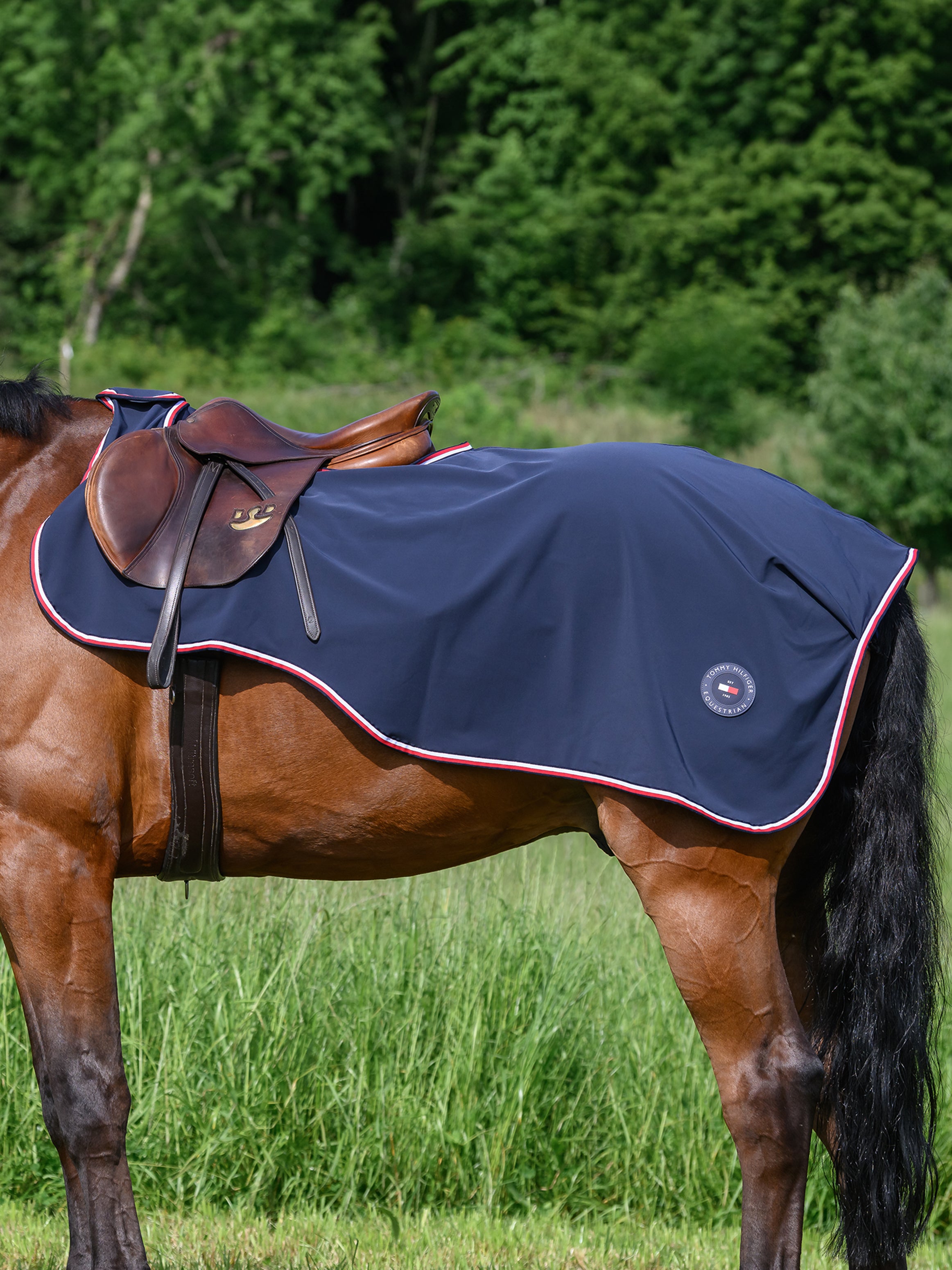 Springfield Water Repellent Riding Rug DESERT SKY