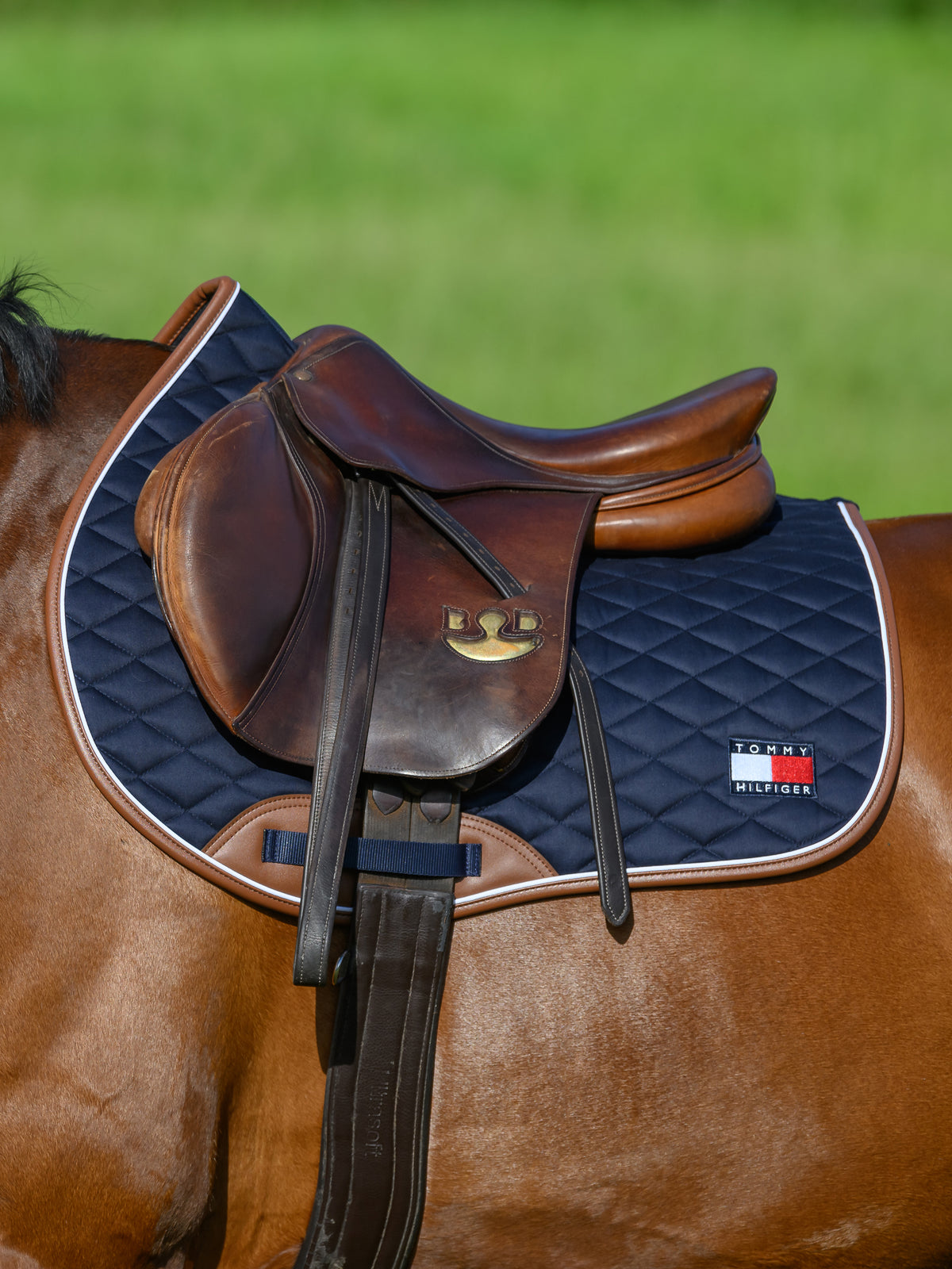 Princeton Jumping Saddlepad Desert Sky