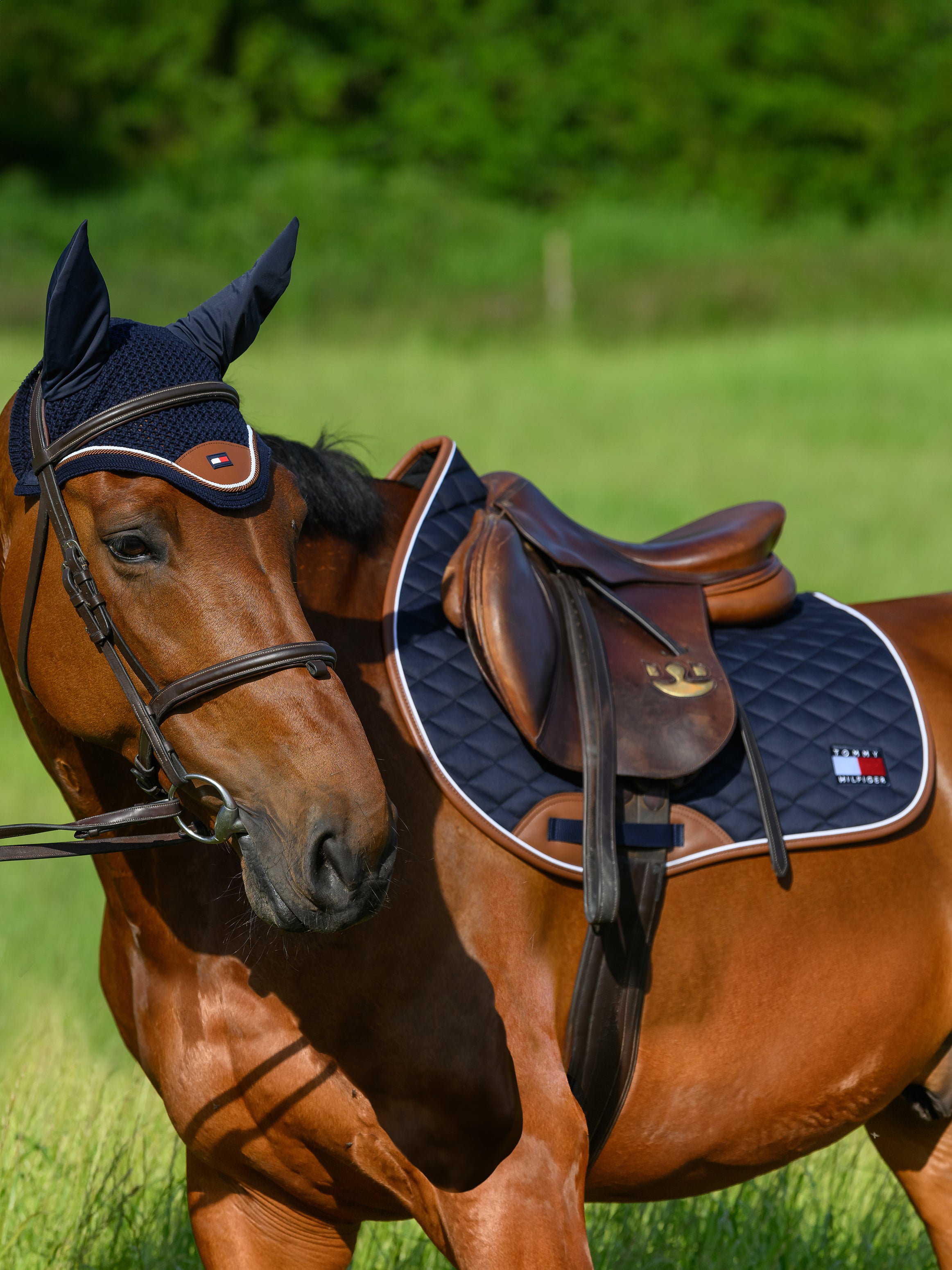 Tapis de selle saut Princeton DESERT SKY