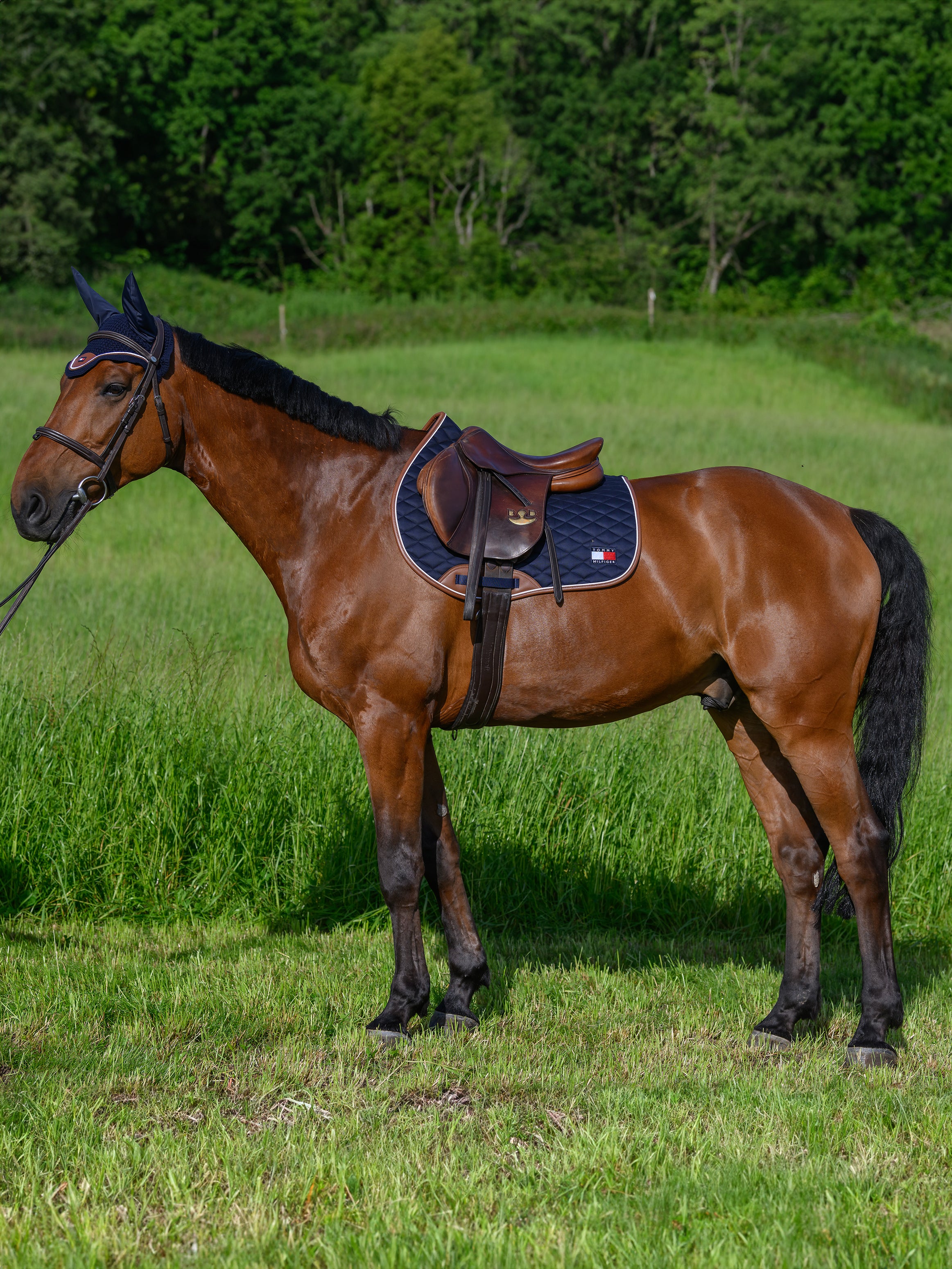 Tapis de selle saut Princeton DESERT SKY