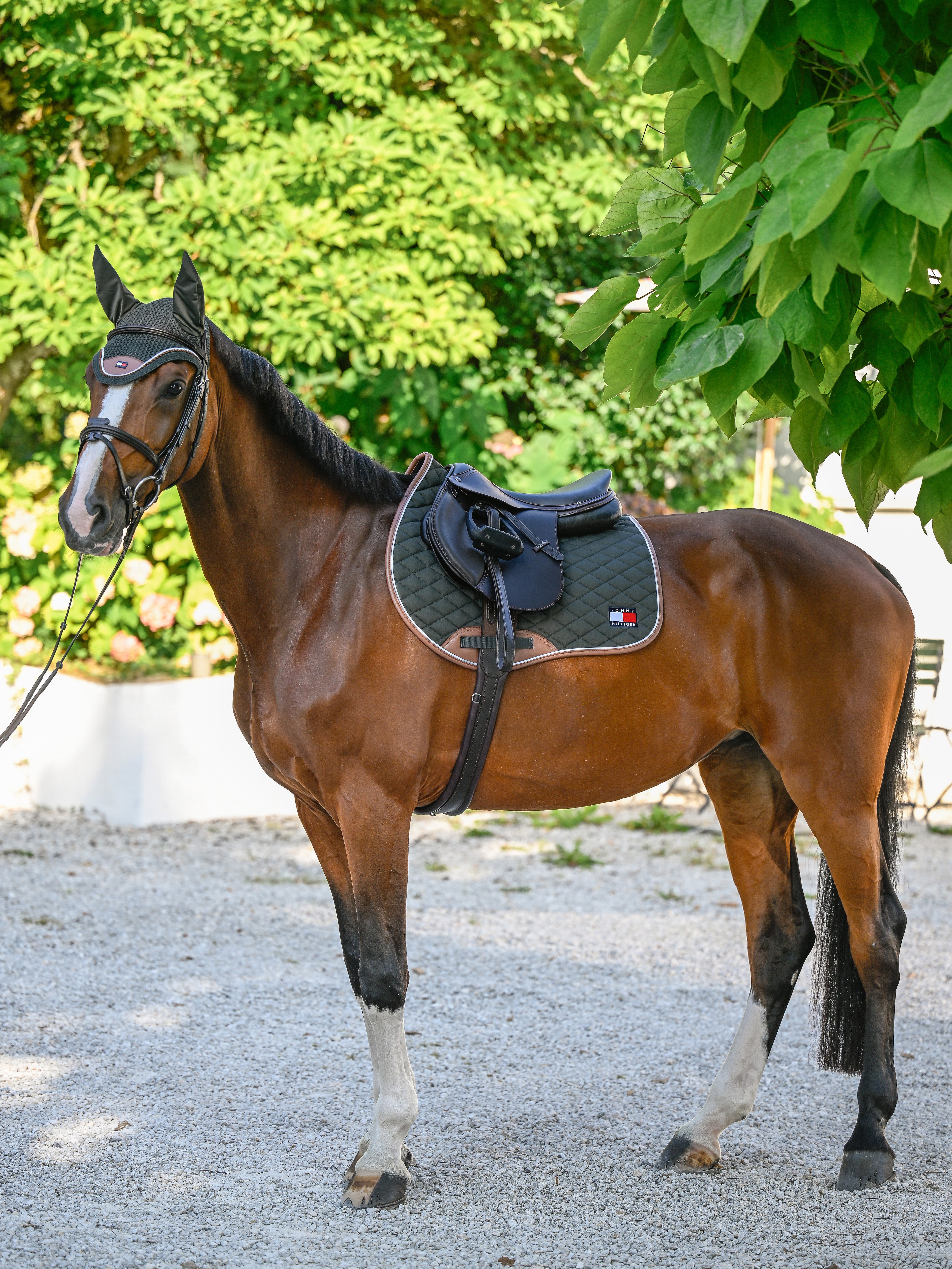 Princeton Jumping Saddle Pad PINE