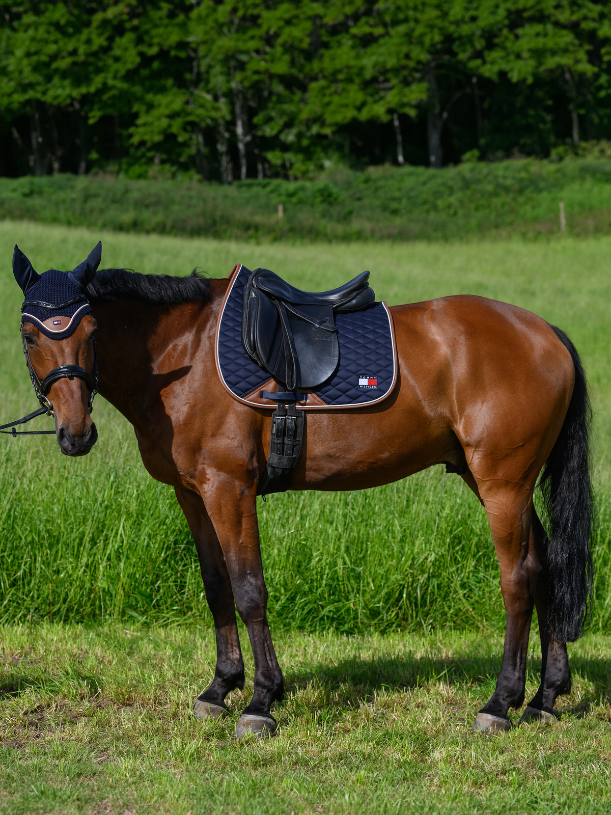 Princeton Dressage Saddlepad DESERT SKY