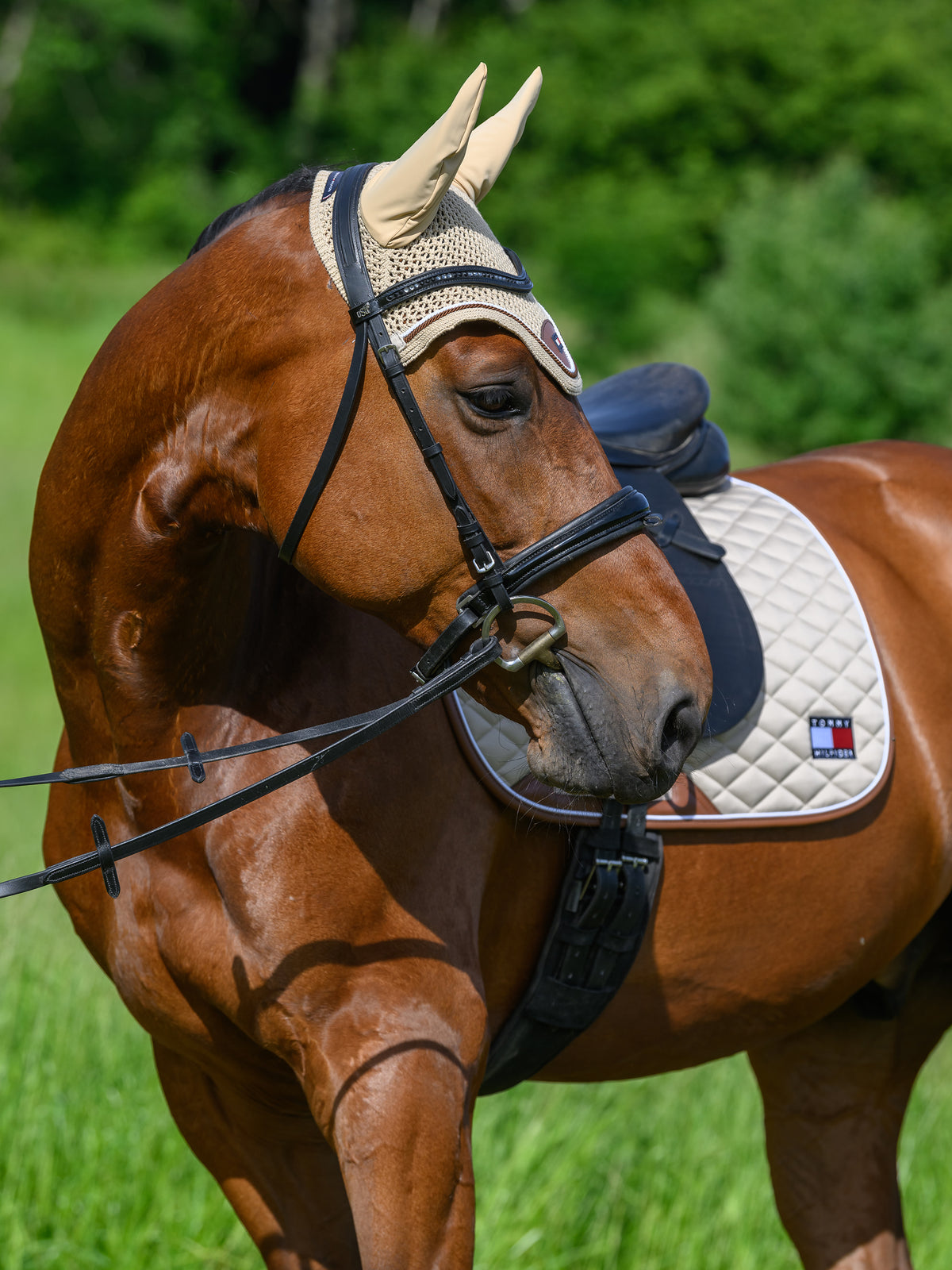Princeton Dressage Saddlepad BEIGE SEASONAL