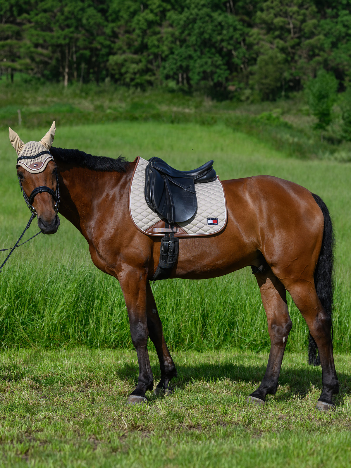 Princeton Dressage Saddlepad BEIGE SEASONAL