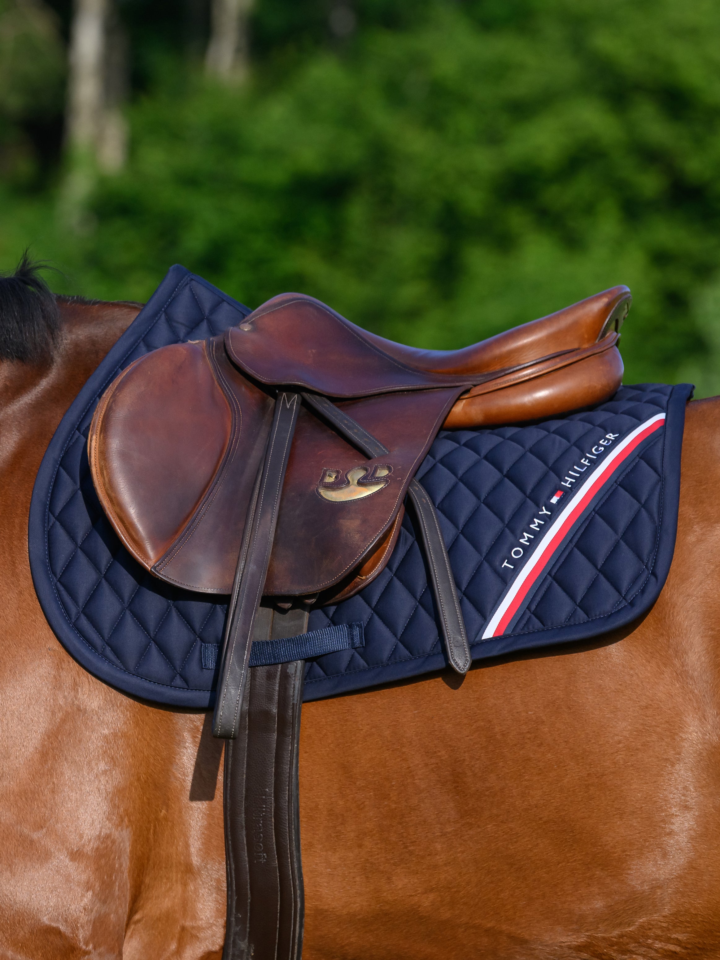Stanford Jumping Saddlepad DESERT SKY