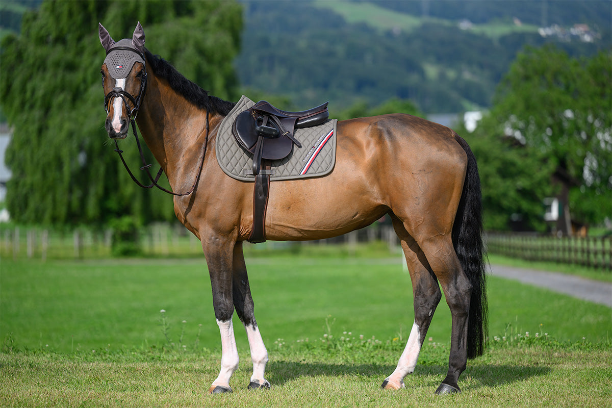 Stanford Jumping Saddle Pad ASH