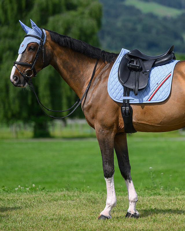 Stanford Dressurschrabracke SWEET BLUE