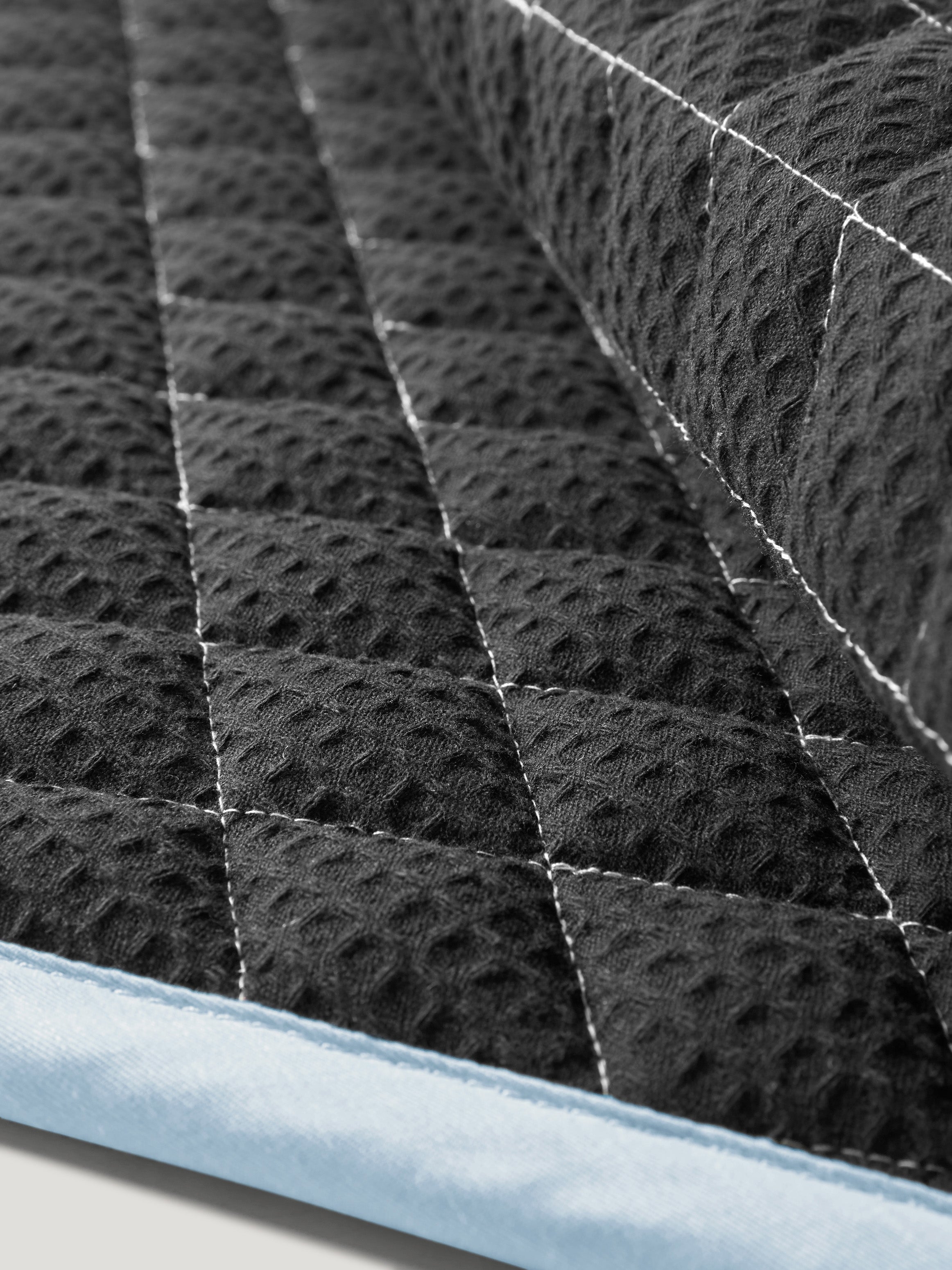 Stanford Dressurschrabracke SWEET BLUE