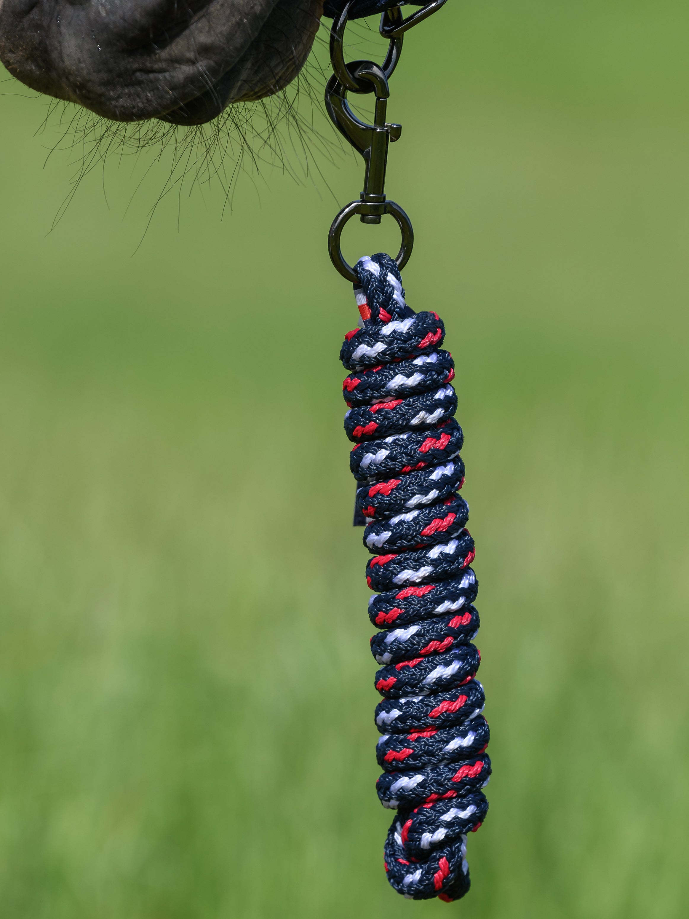 Ensemble licol et longe Yale DESERT SKY