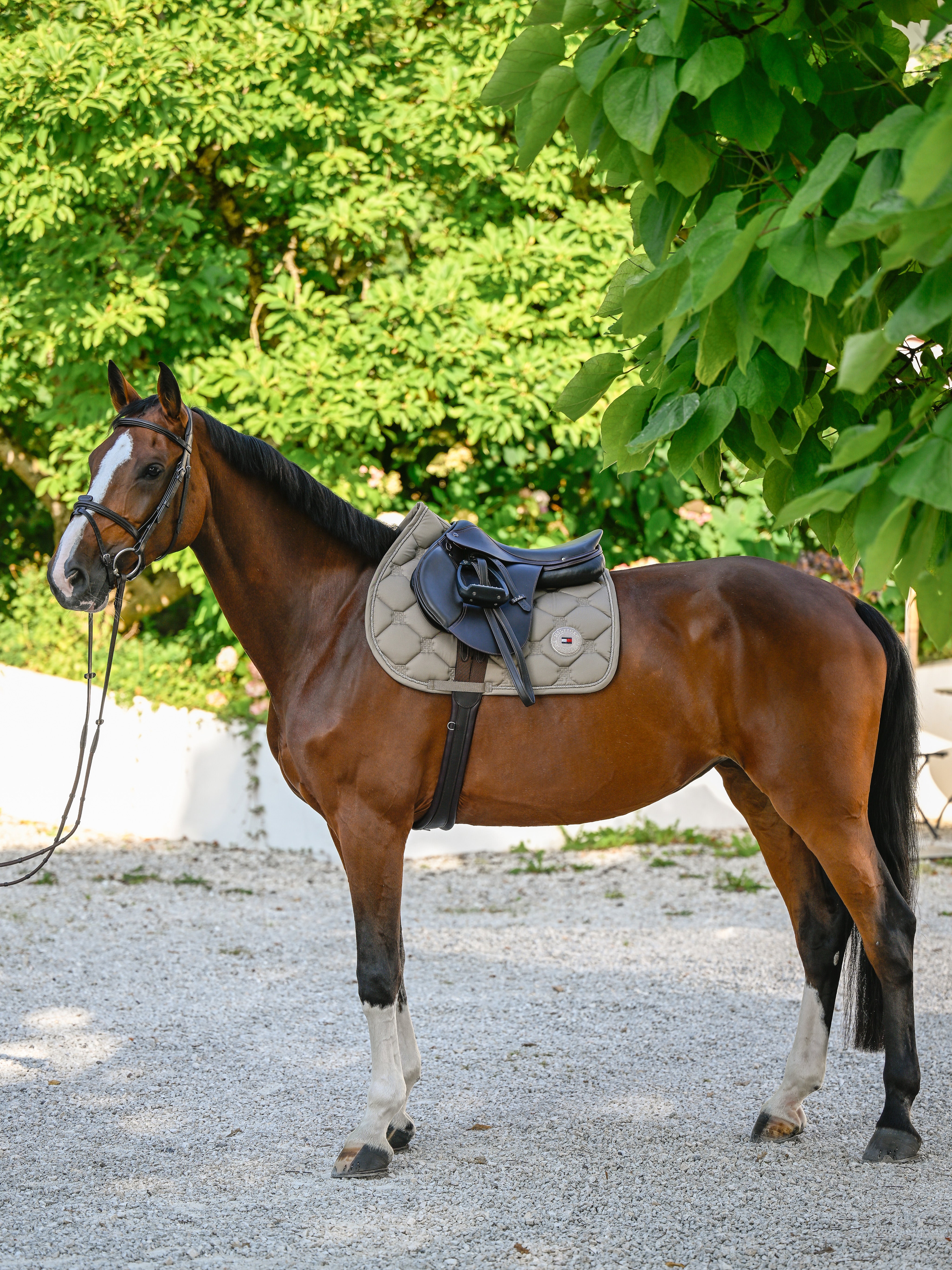 Liberty Jumping Saddle Pad TAUPE