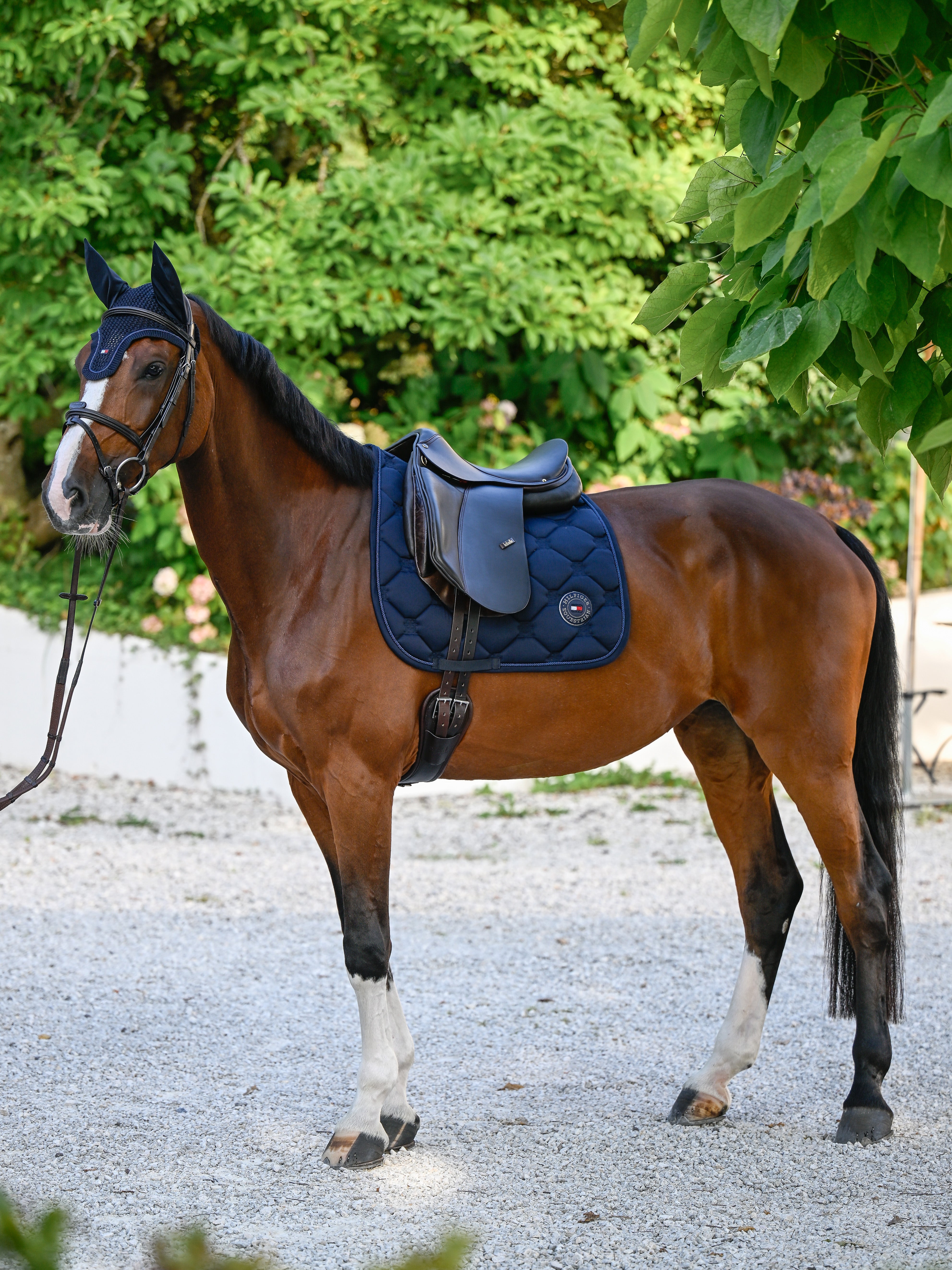 Liberty Dressage Saddle Pad DESERT SKY