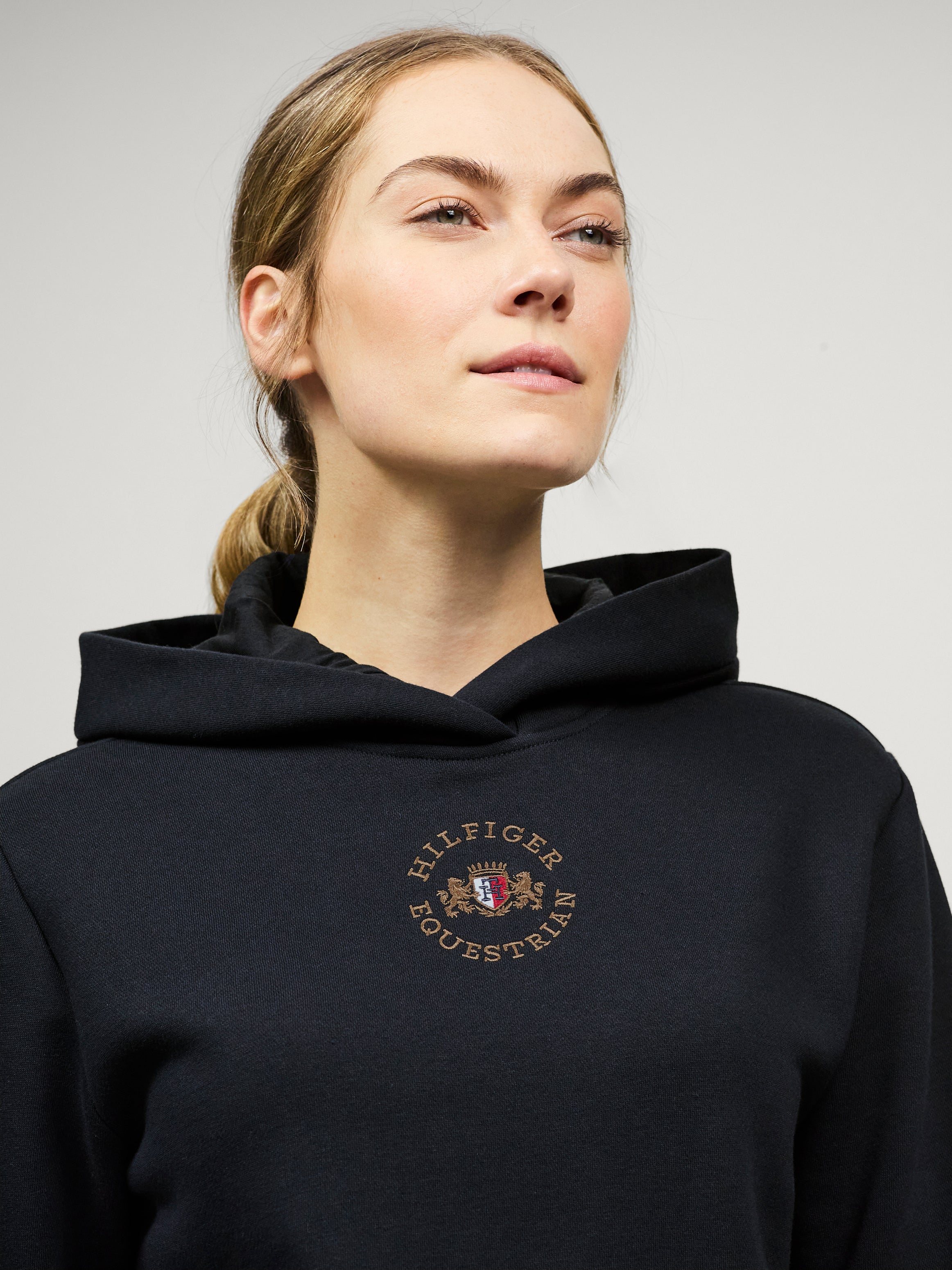 Grove Hoodie DESERT SKY