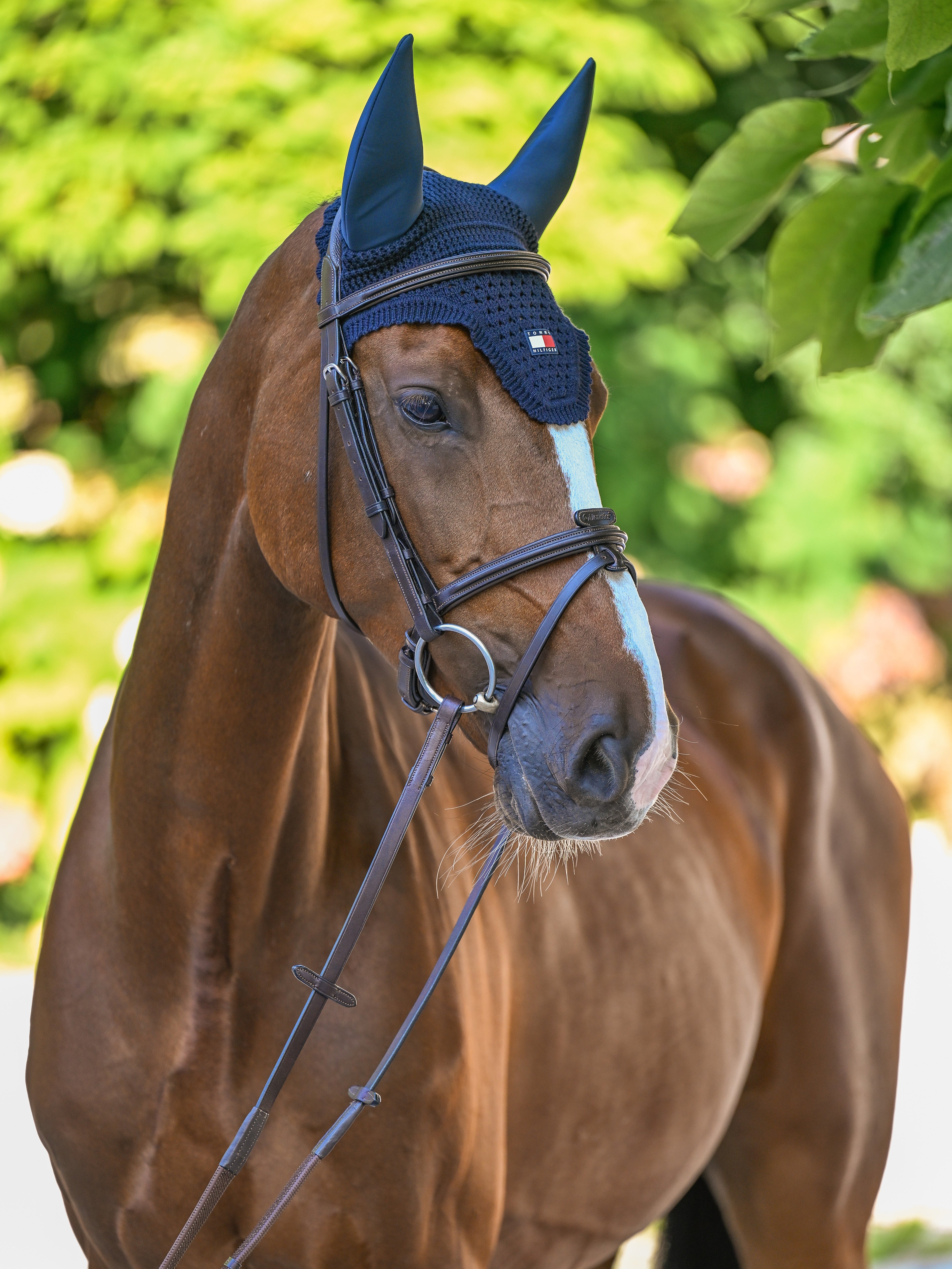 Lexington Soundless Fly Hood