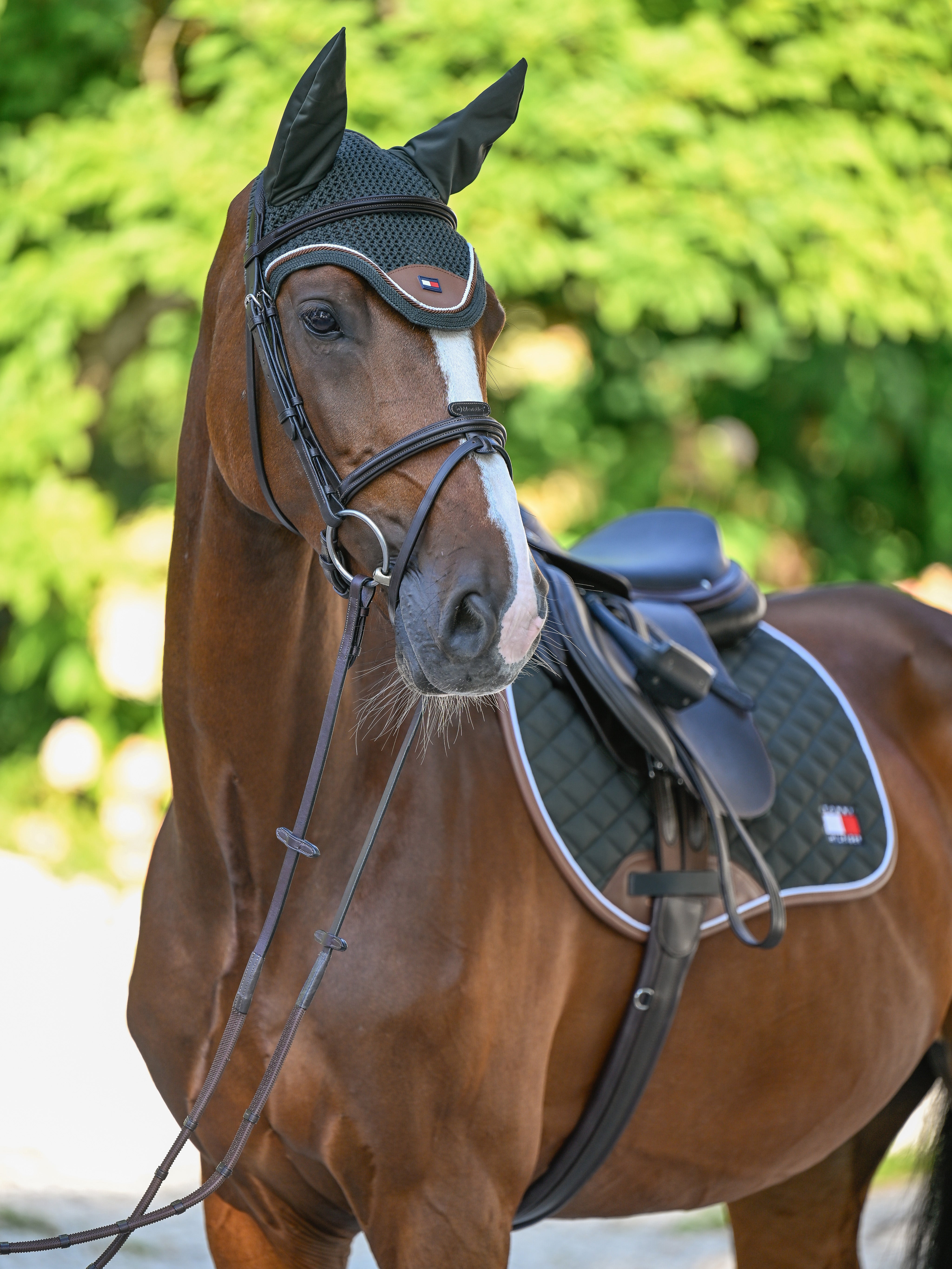 Princeton Fly Hood PINE