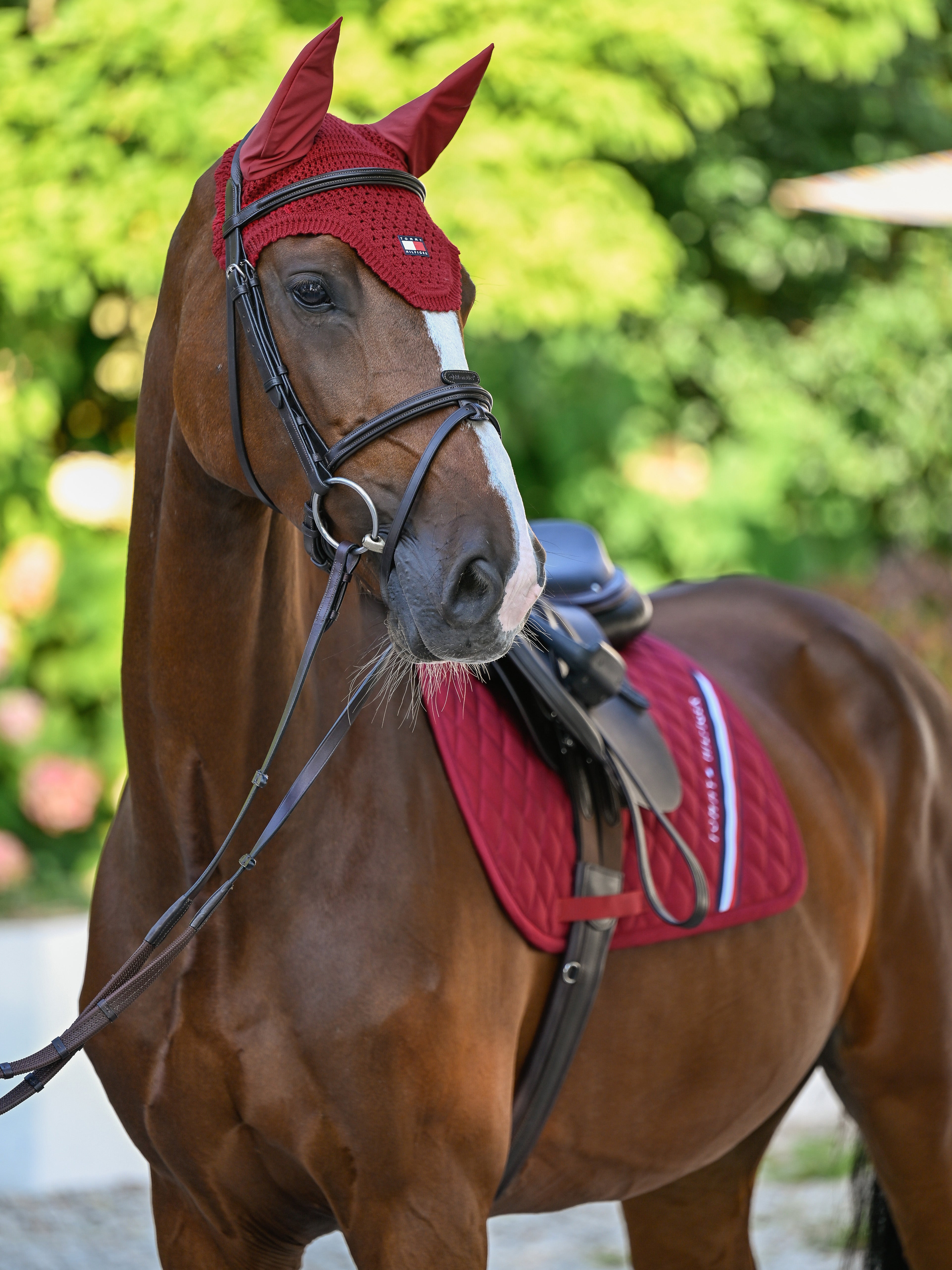 Lexington Fly Hood REGATTA RED
