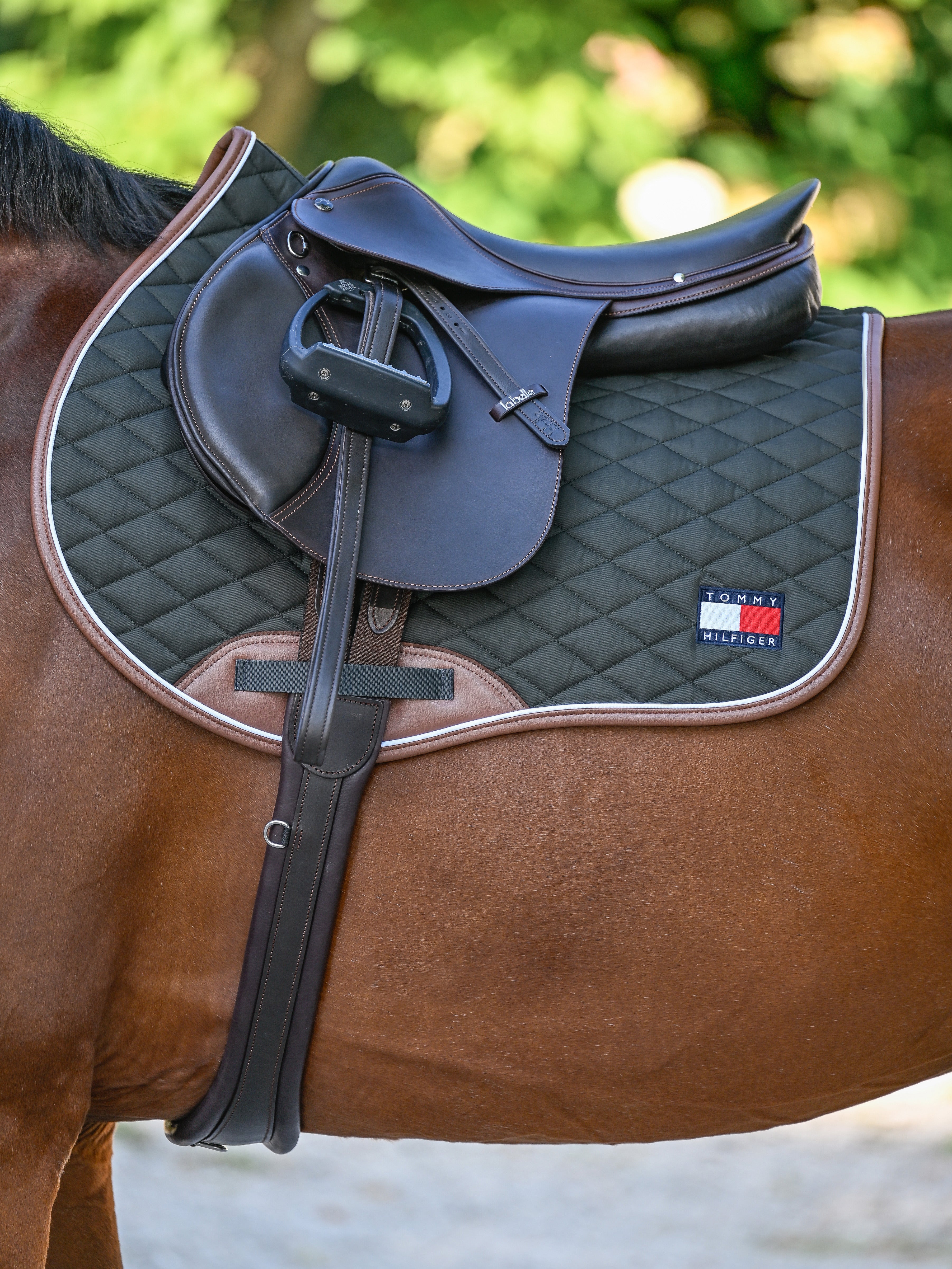 Princeton Jumping Saddle Pad PINE