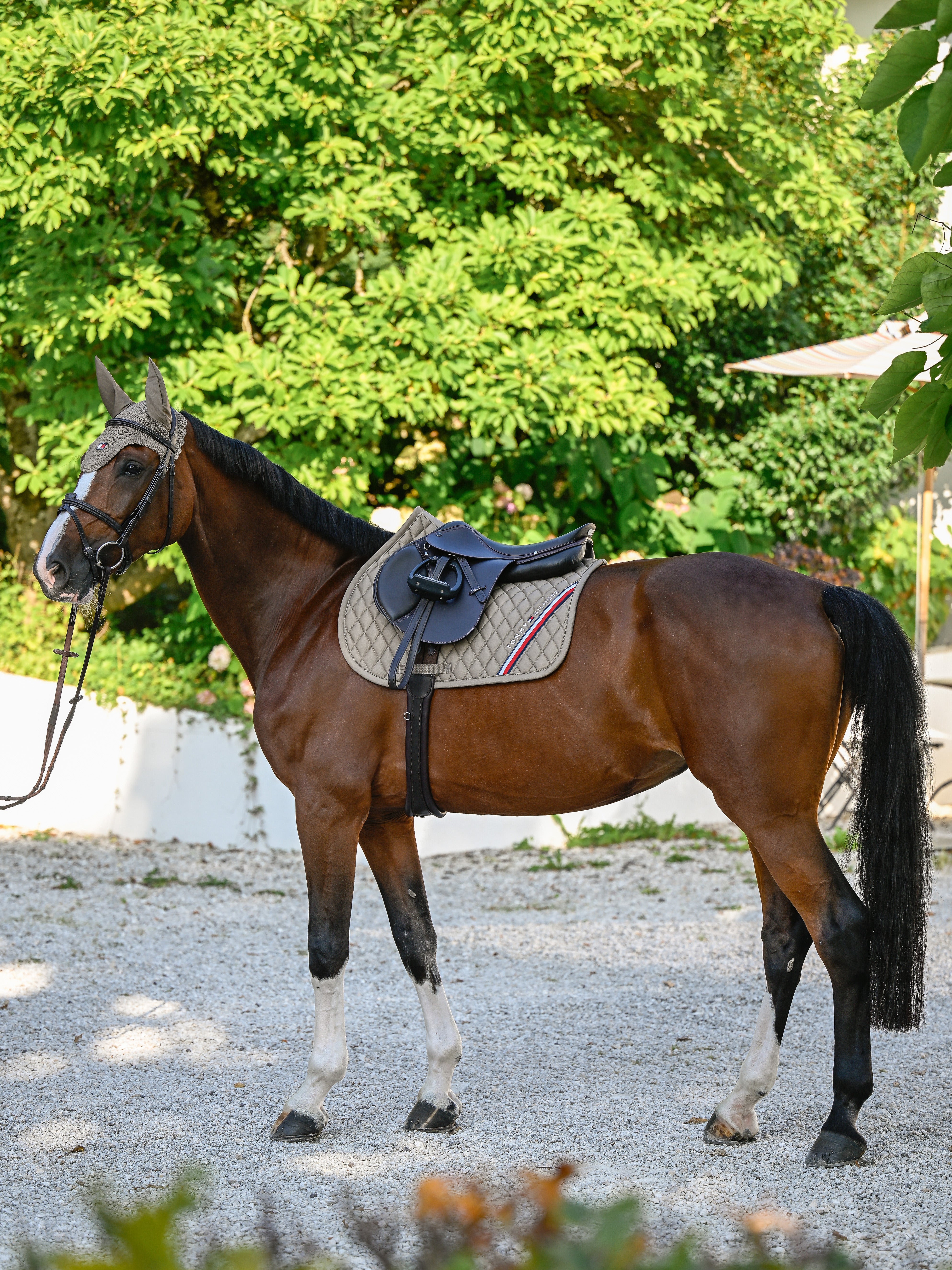 Stanford Jumping Saddle Pad TAUPE