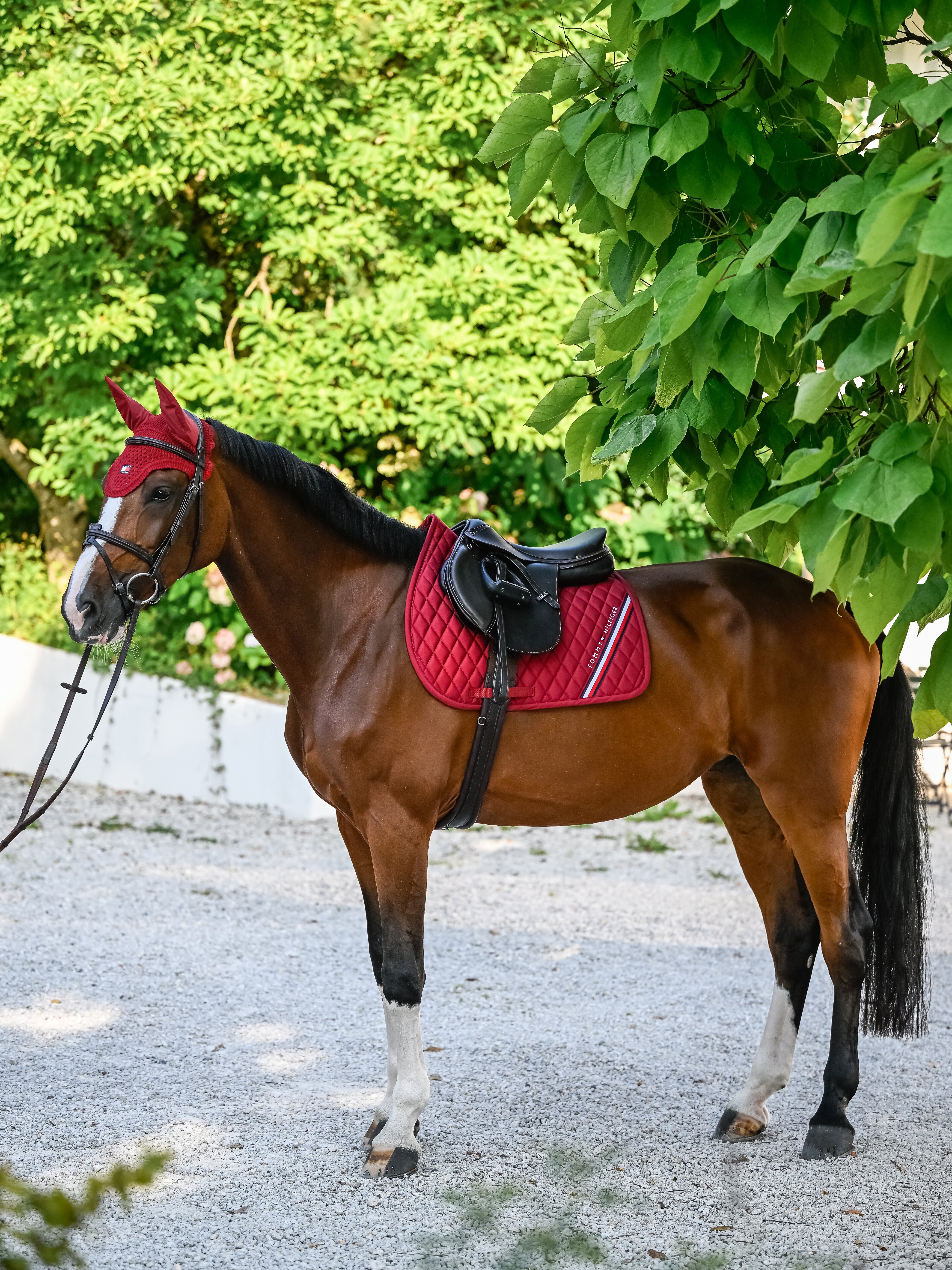 Stanford Jumping Saddle Pad REGATTA RED
