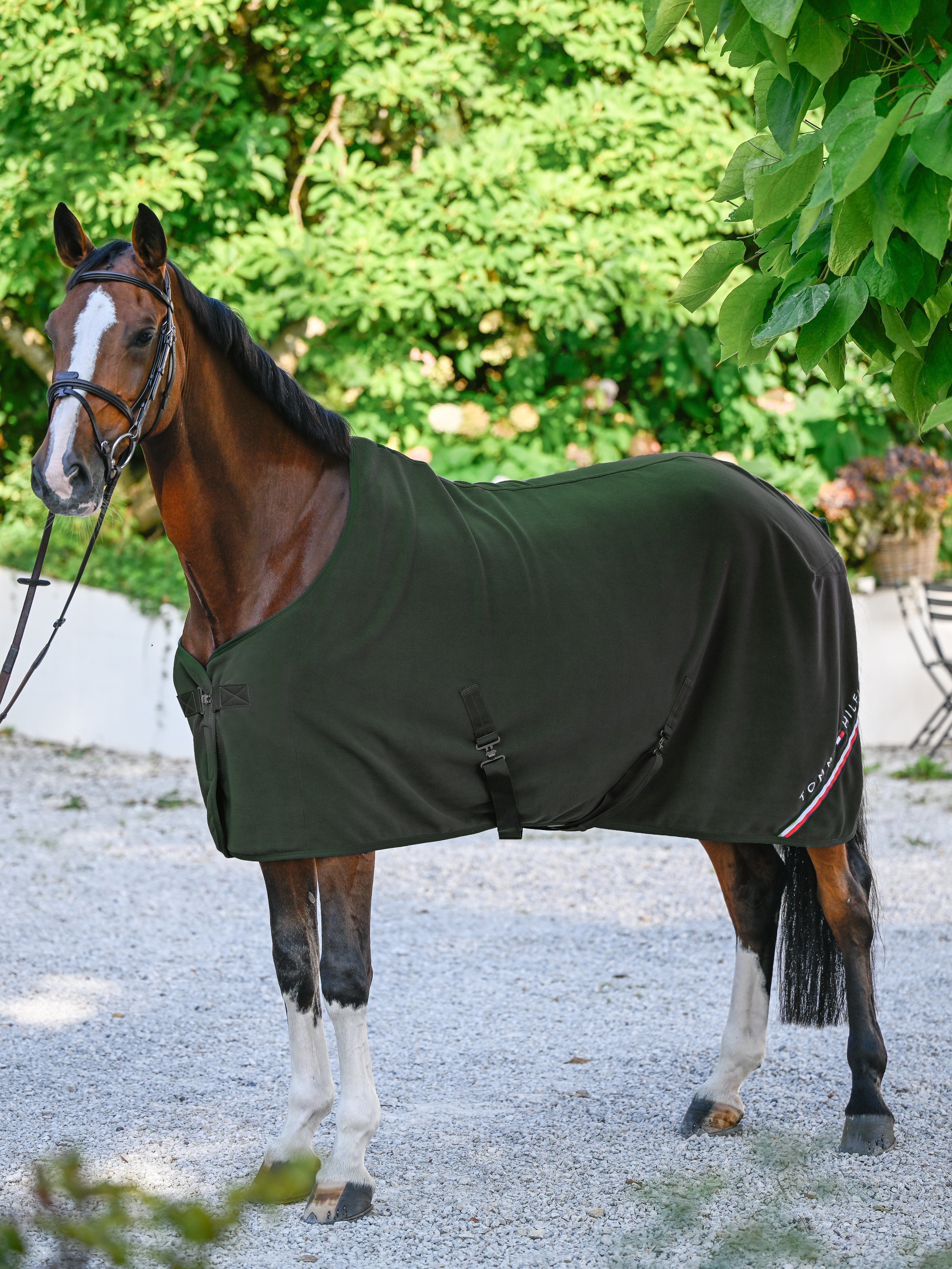 Stanford Fleece Rug PINE