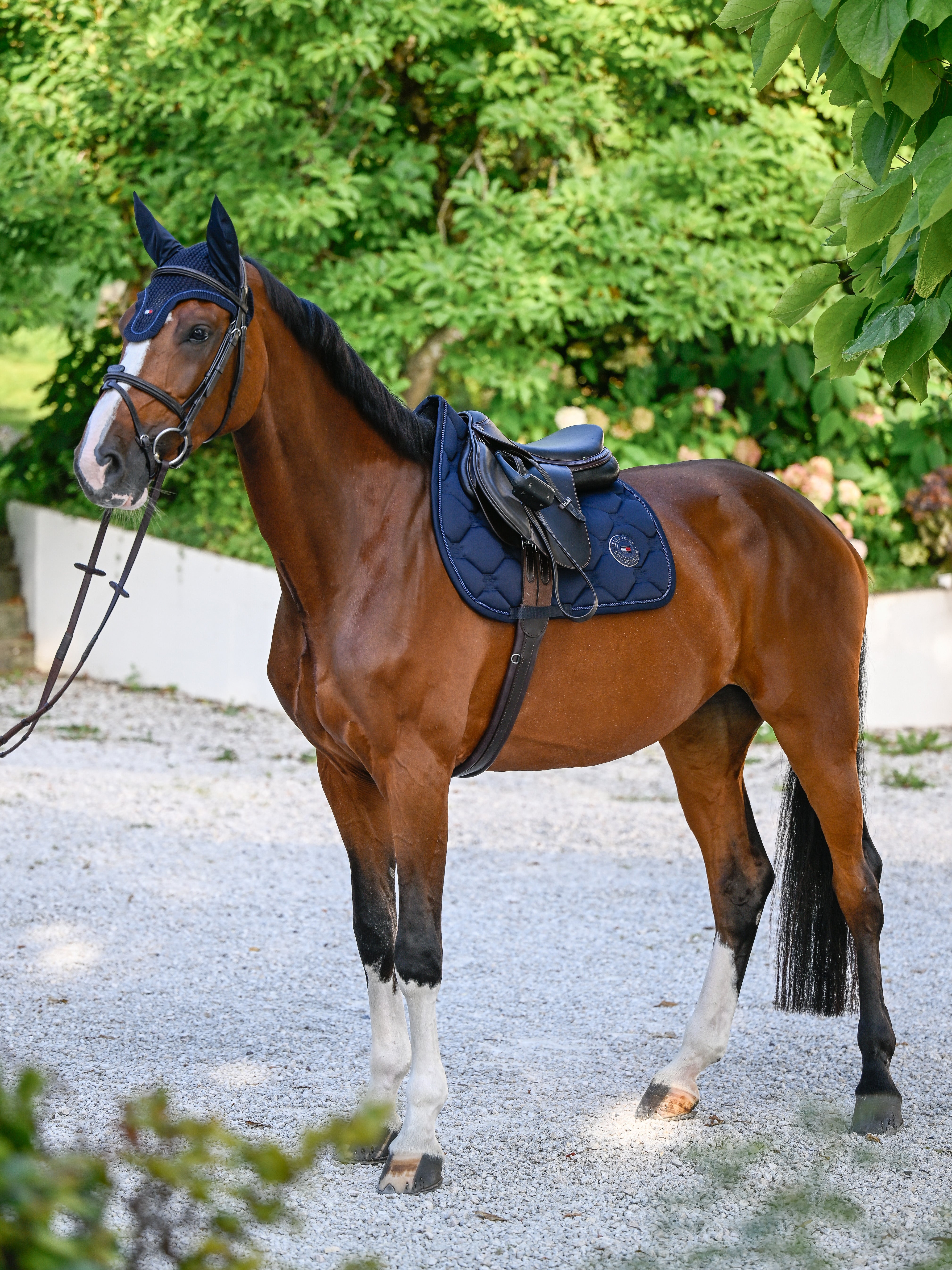 Liberty Jumping Saddle Pad DESERT SKY