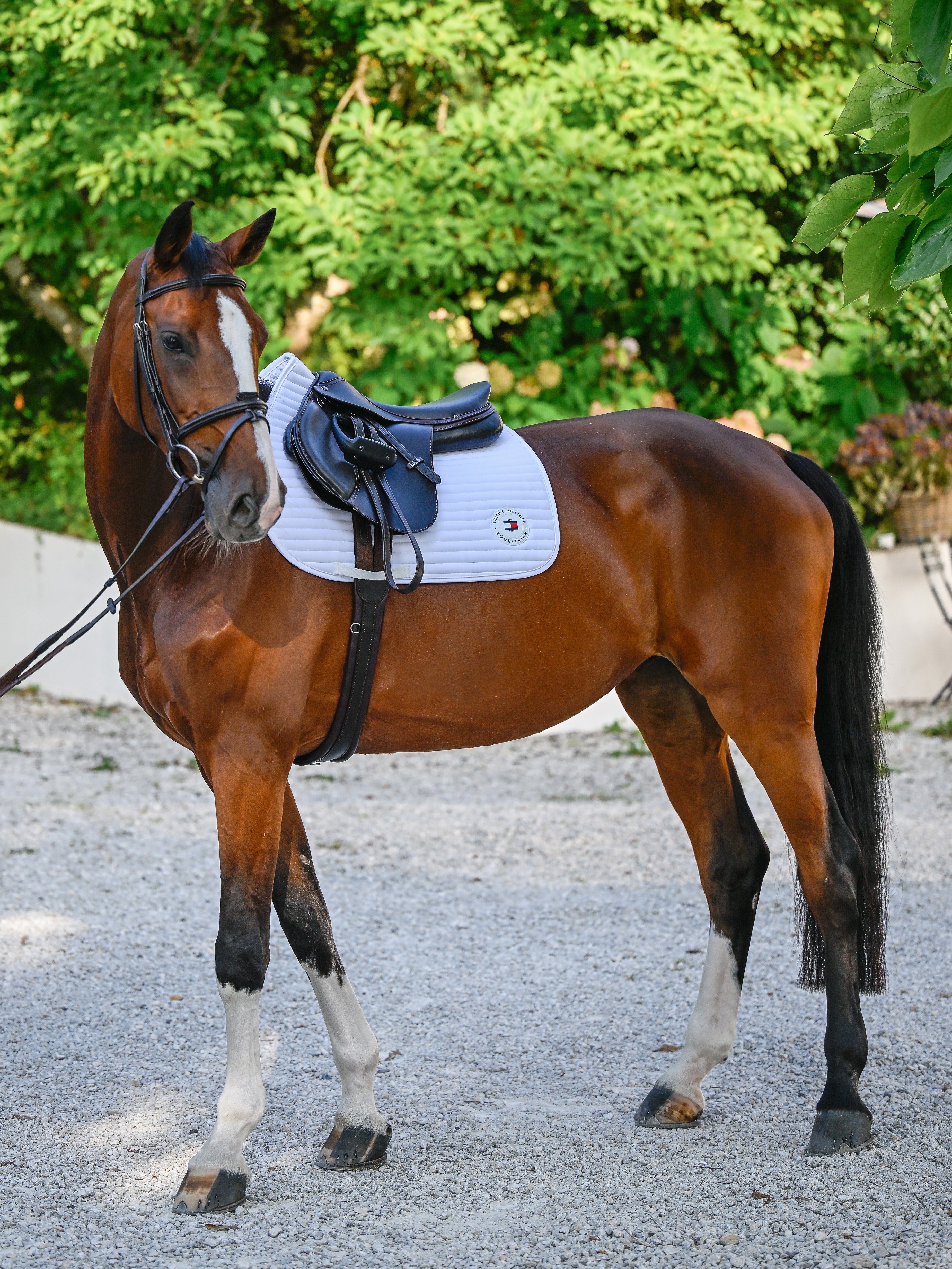 Upstate Jumping Saddle Pad OPTIC WHITE