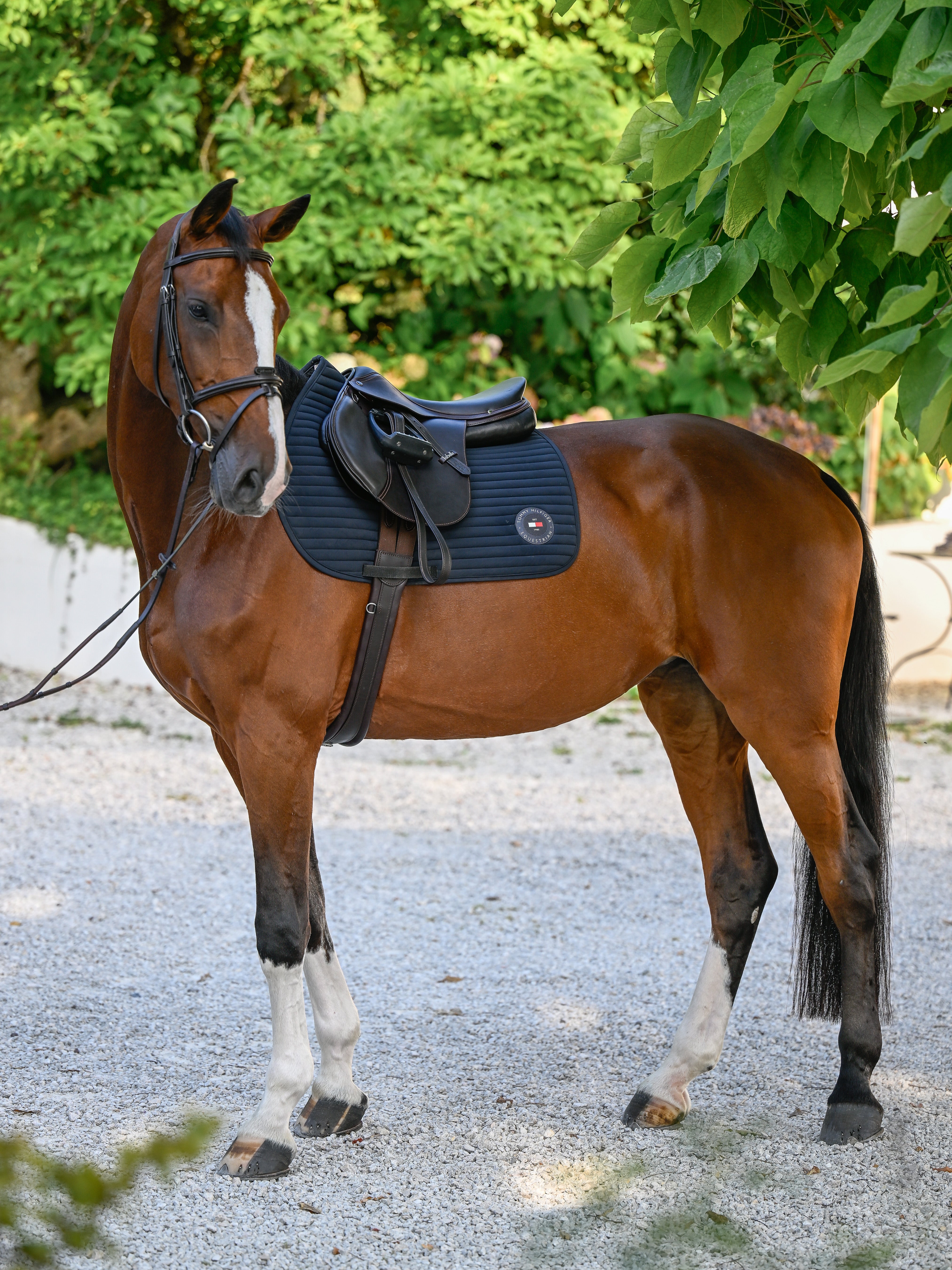 Upstate Jumping Saddle Pad DESERT SKY