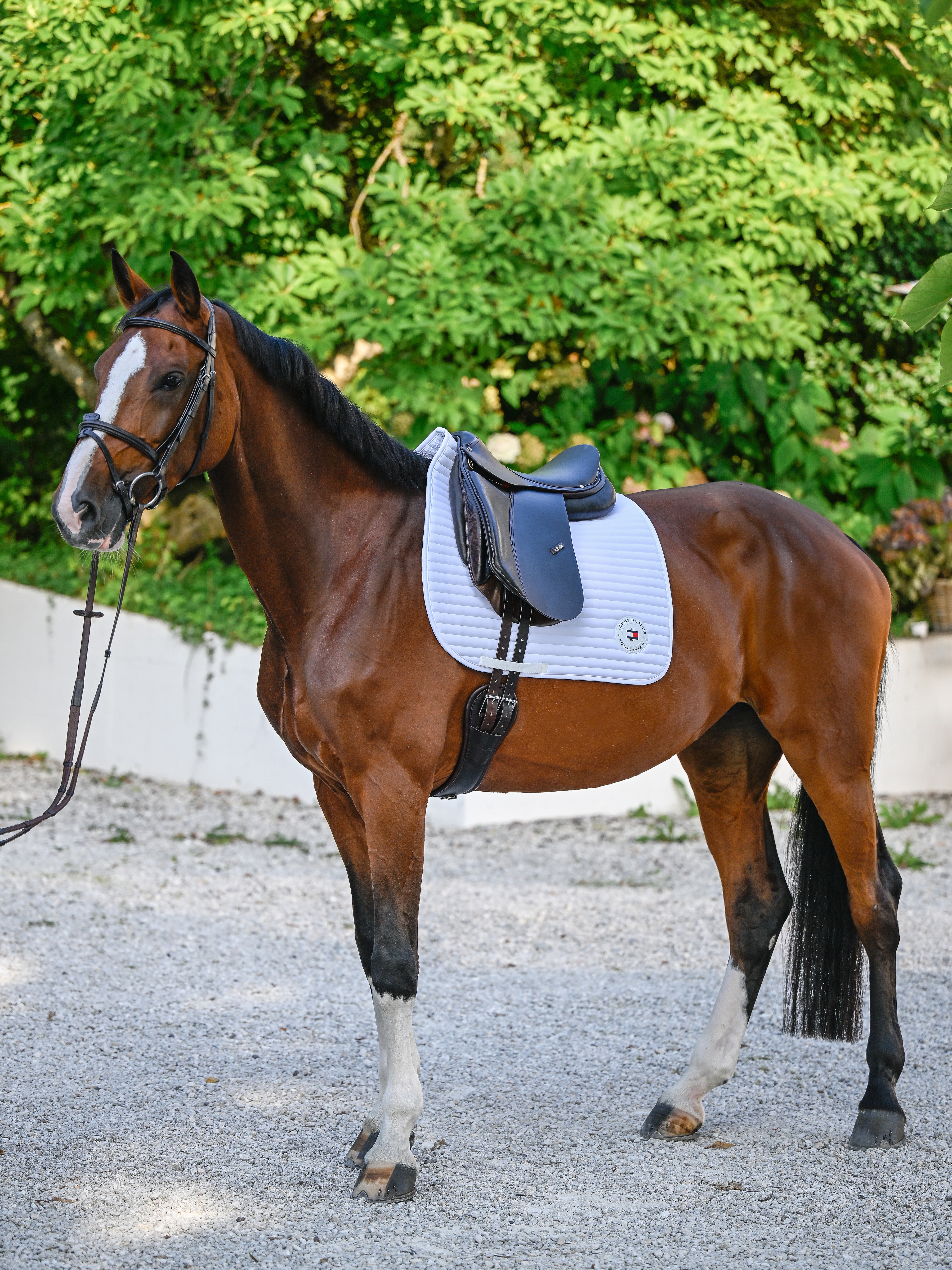 Upstate Dressage Saddle Pad OPTIC WHITE