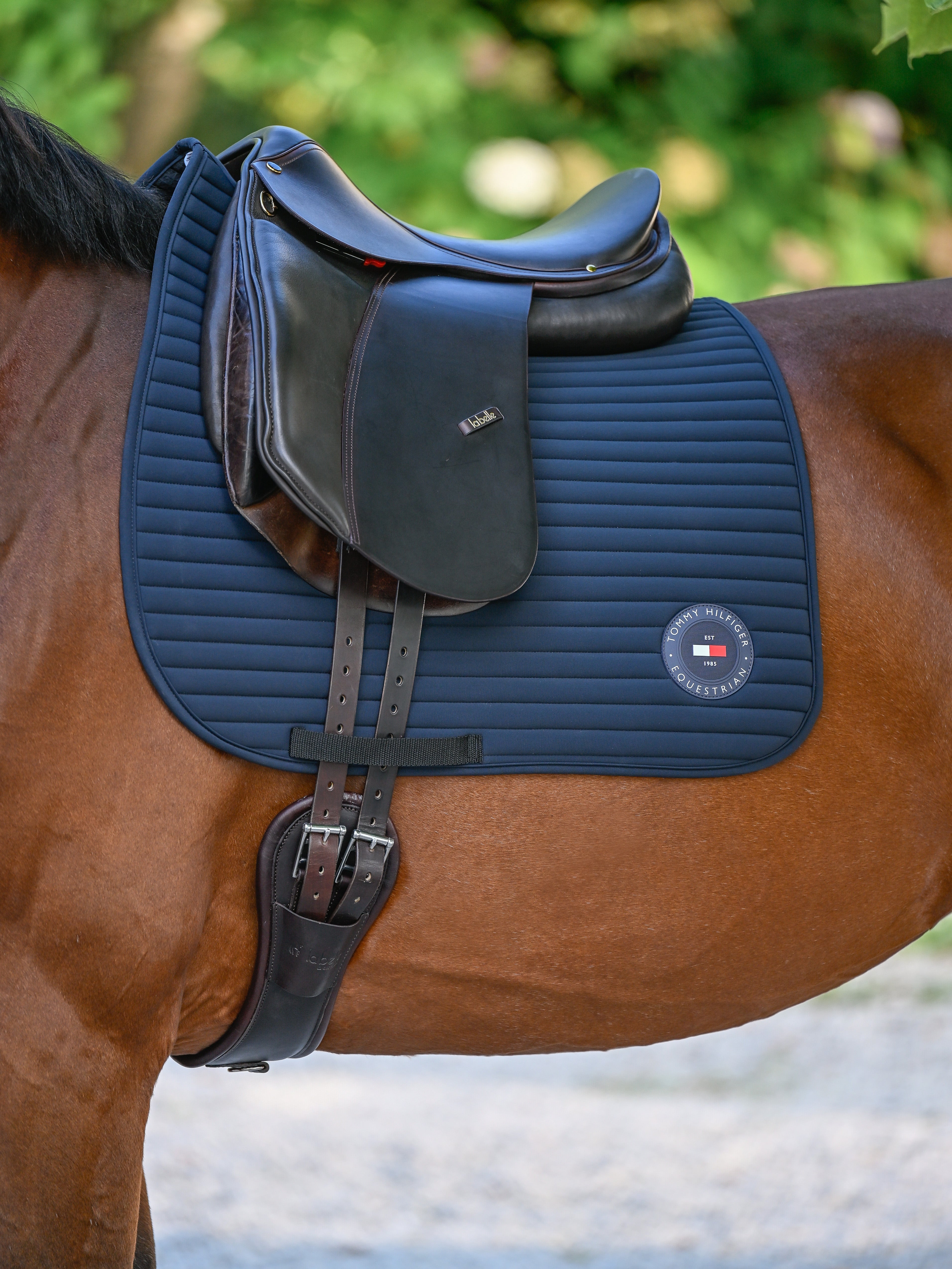 Upstate Dressage Saddle Pad DESERT SKY