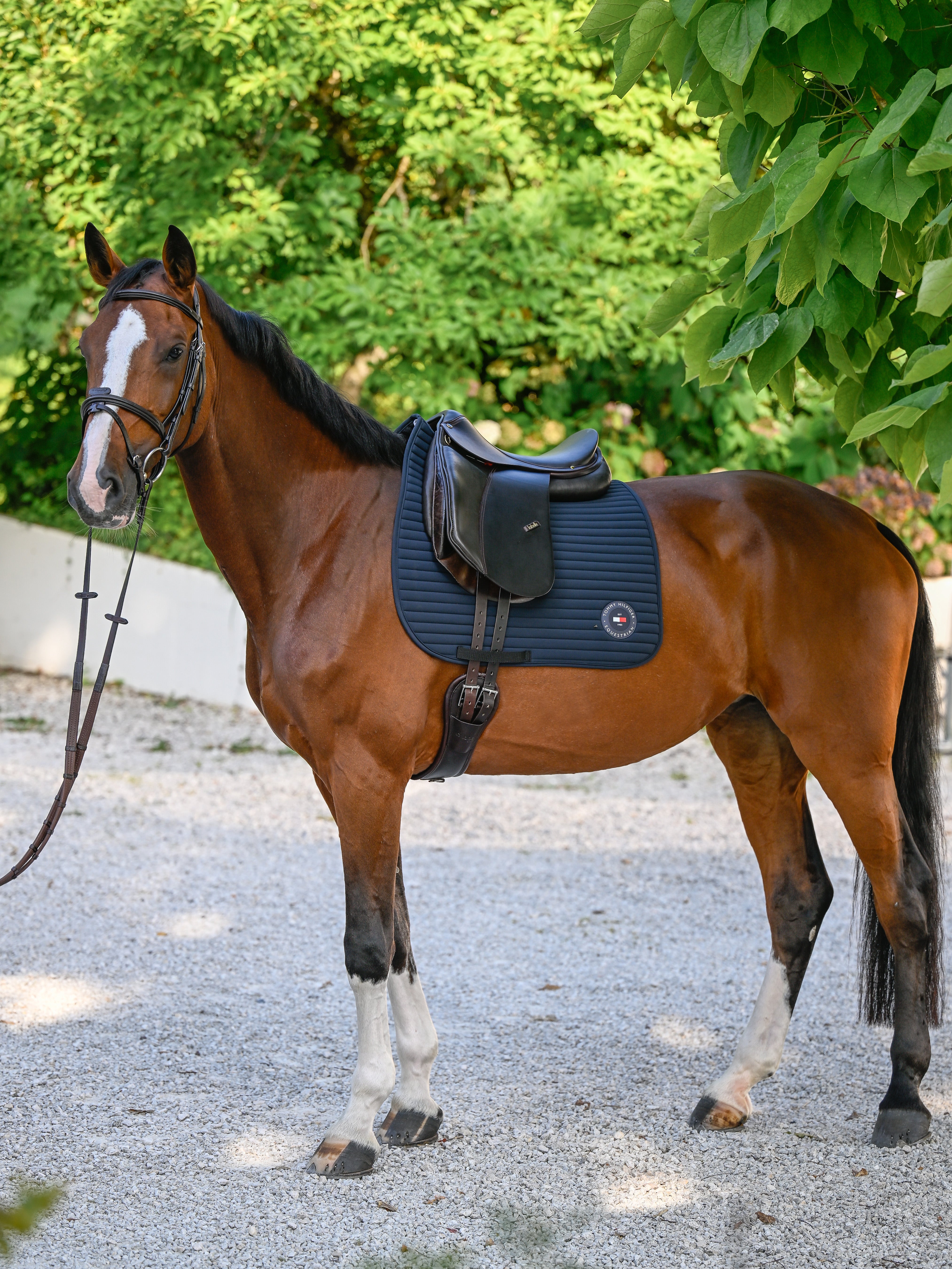 Upstate Dressage Saddle Pad DESERT SKY