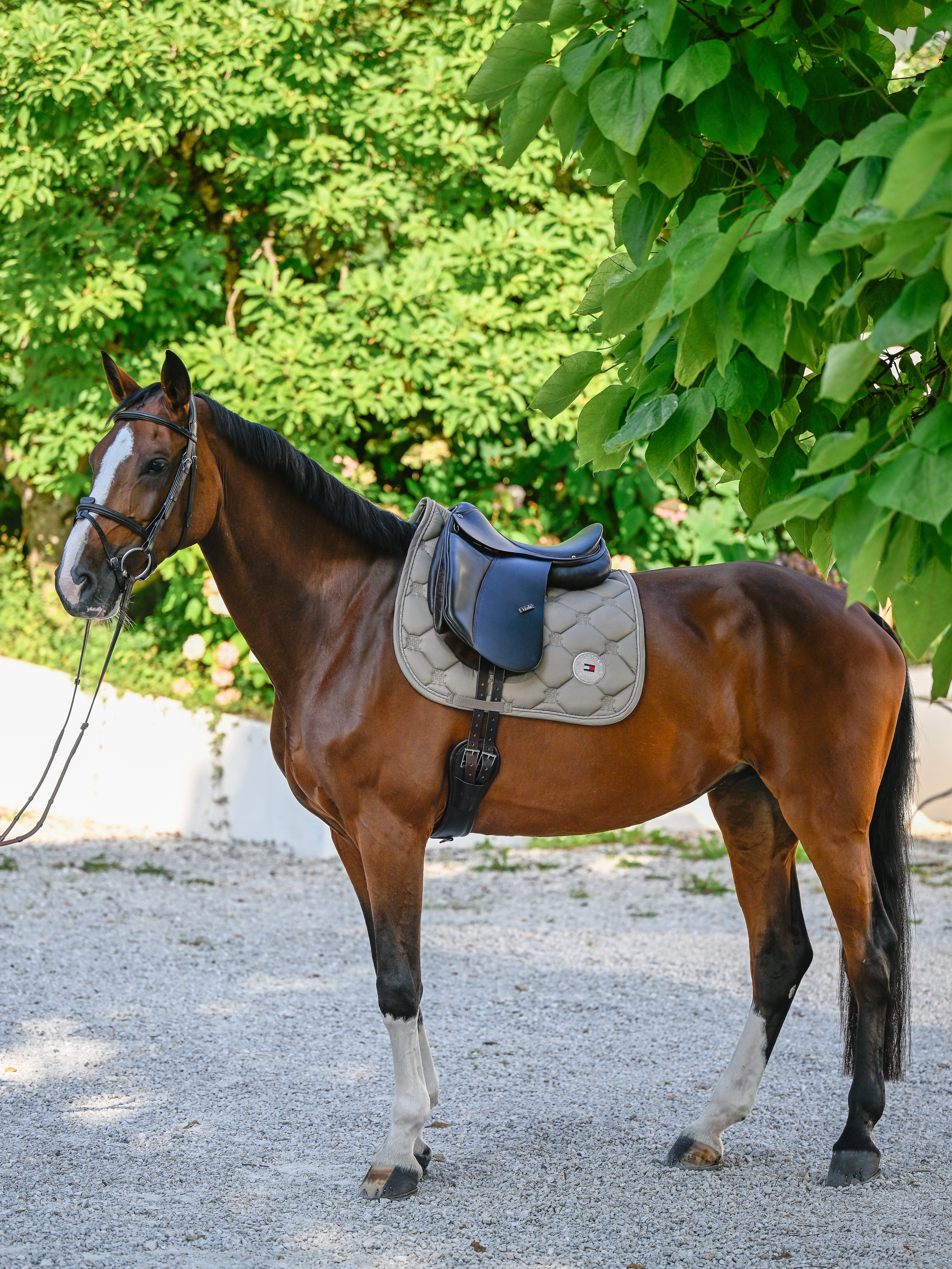 Liberty Dressage Saddle Pad TAUPE