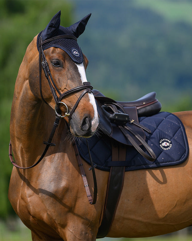 Emory Jumping Saddle pad DESERT SKY